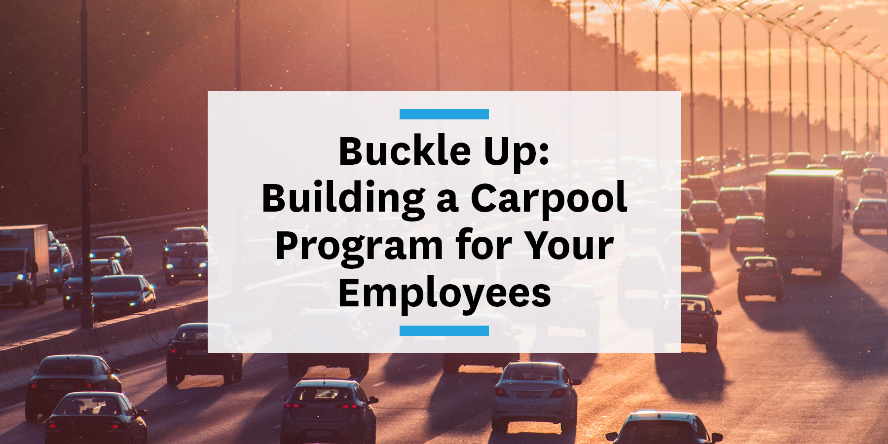 Feature image for building a carpool program