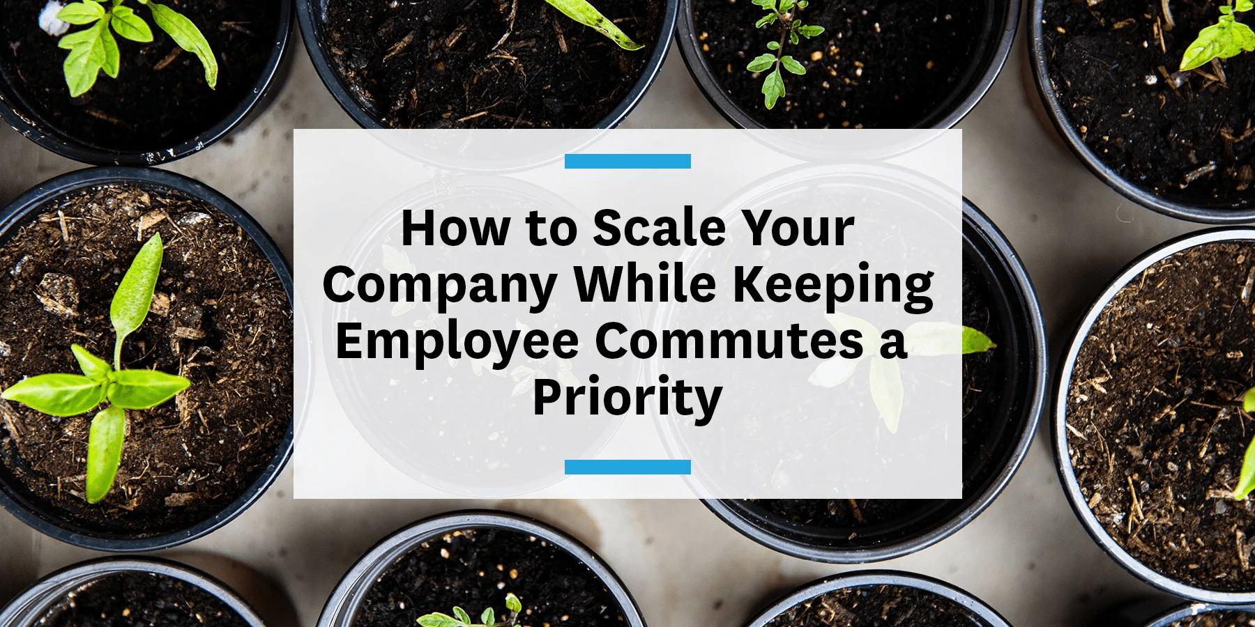 Feature image for scaling your company and keeping employee commutes a priority