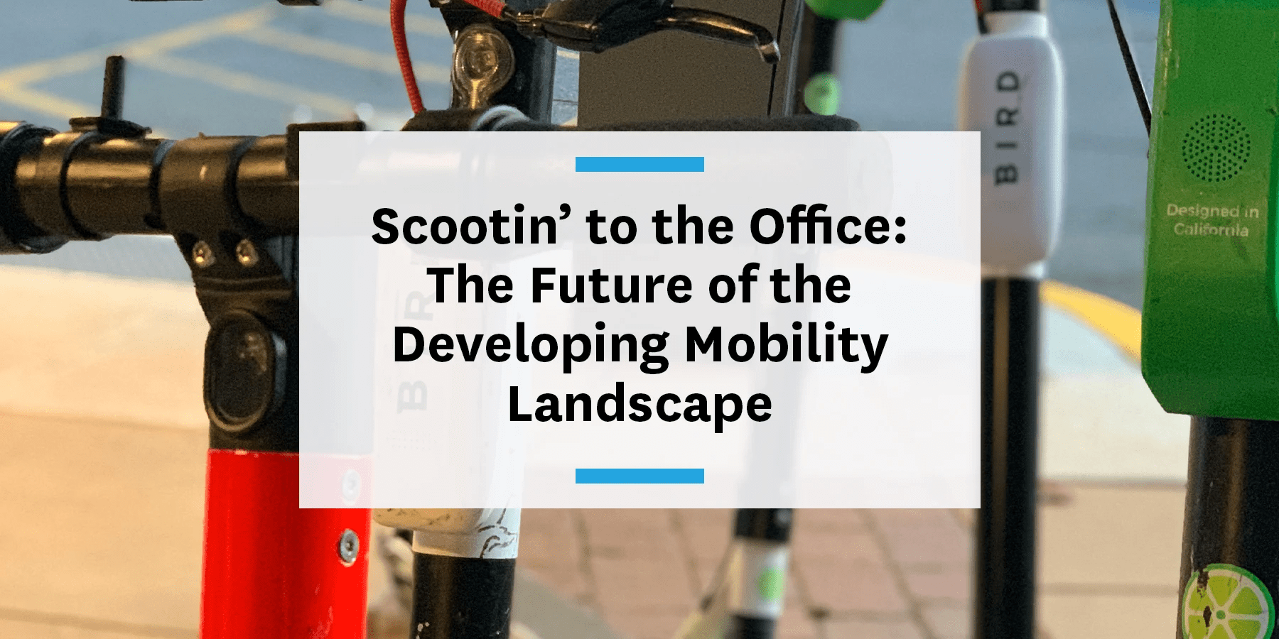 Feature image for the future of mobility landscape