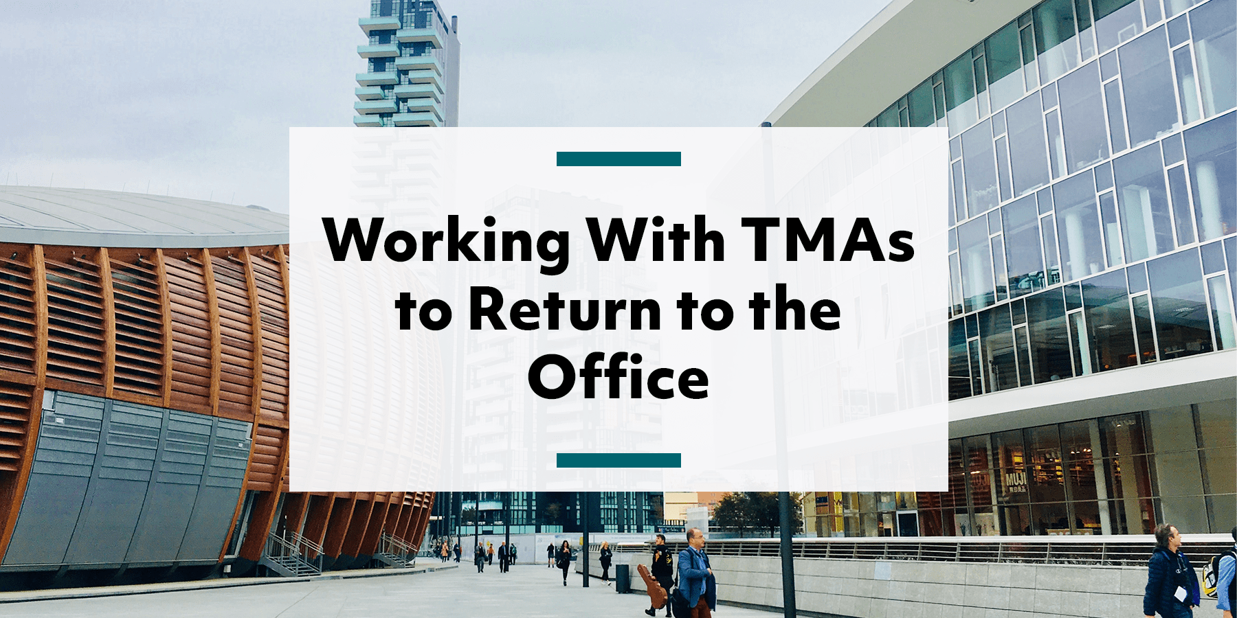 Feature image for working with a transportation management association to return to the office